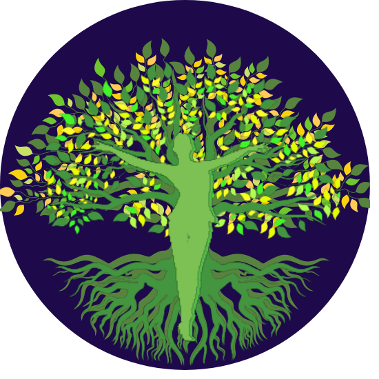 Vibrations Mental Wellness Mental Health Therapist and Certified Life